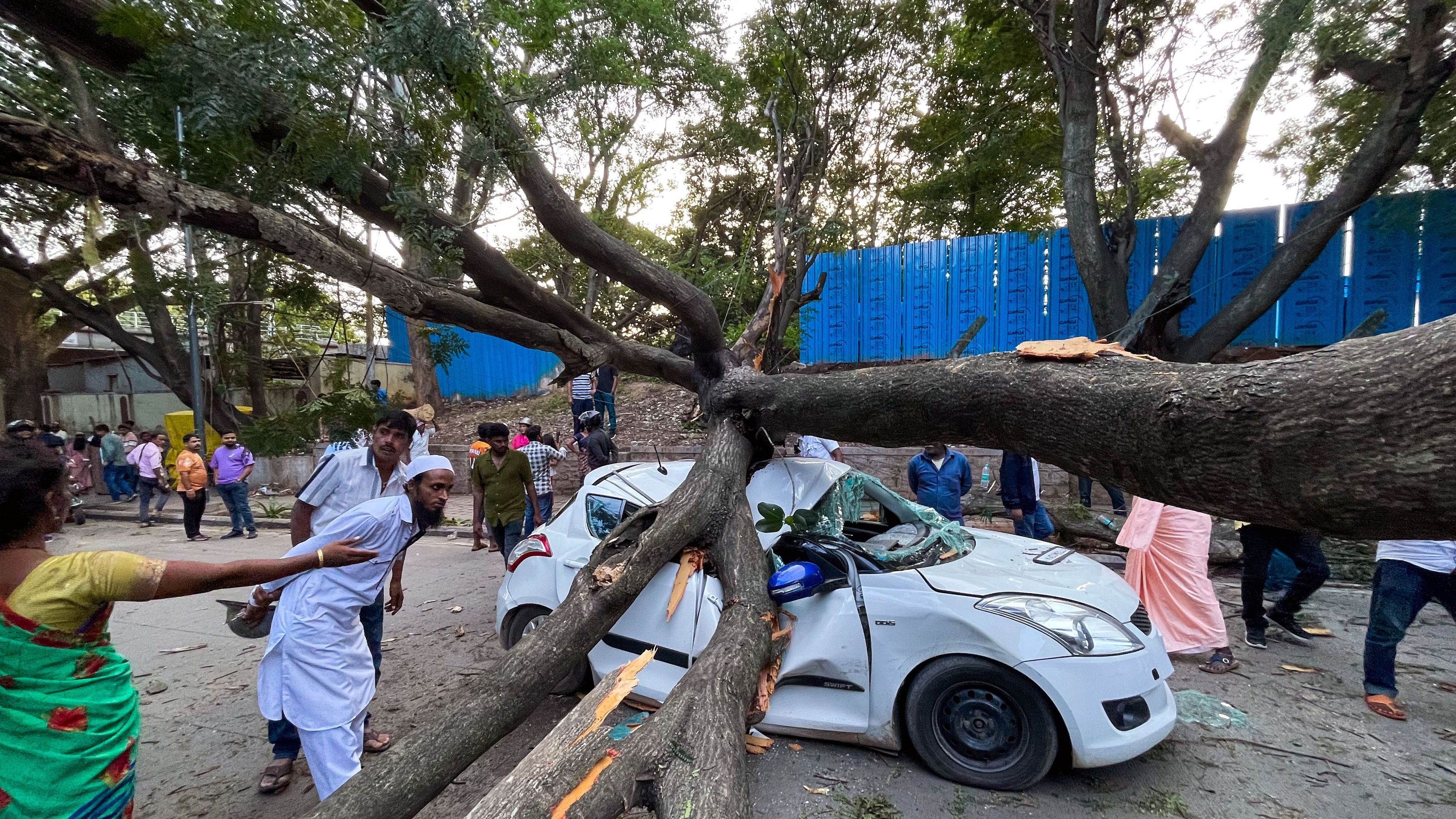 <div class="paragraphs"><p>Narrow Escape: A massive tree came crashing down on a car on Link Road, near Anil Kumble Circle, in Bengaluru on September 1, leaving one person injured and creating a traffic jam in the surrounding major roads. </p></div>